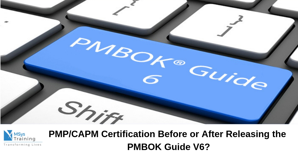 A Users Manual To The Pmbok Guide